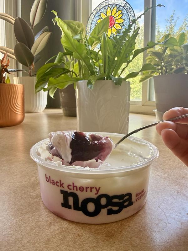 Black Cherry Yogurt 8oz Tub - Noosa Yoghurt
