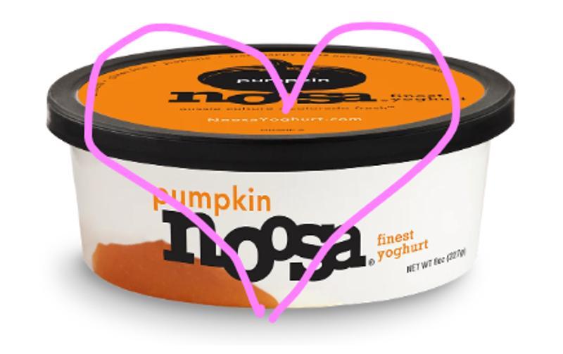 Pumpkin Yogurt 8oz Tub - Noosa Yoghurt