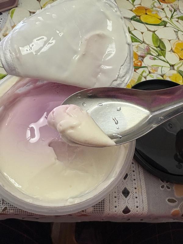 Blueberry Yogurt 8oz Tub - Noosa Yoghurt