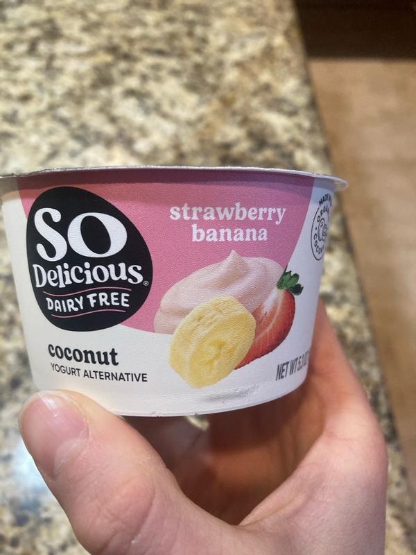 Coconut Yogurt Single Serve - Noosa Yoghurt
