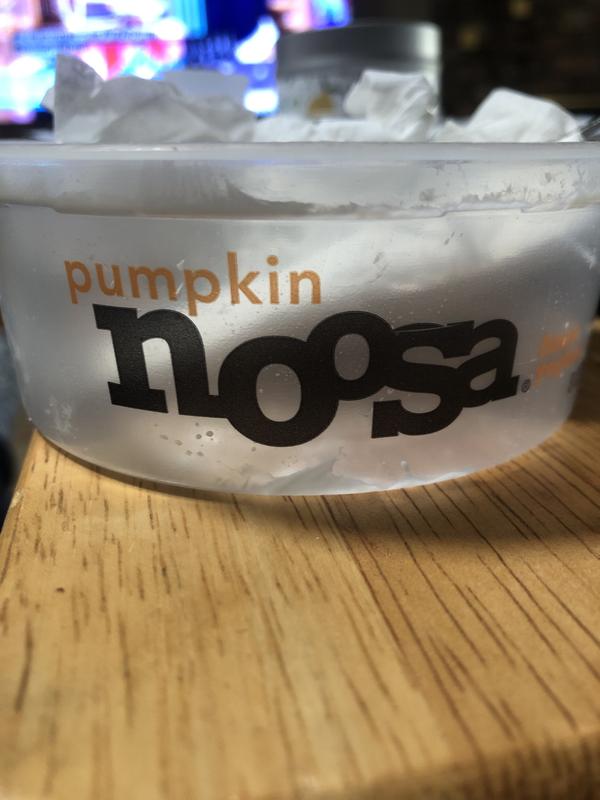 Pumpkin Yogurt Multipack - Noosa Yoghurt