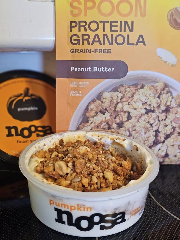 ヨギニフード Pumpkin Yogurt 8oz Tub - Noosa Yoghurt