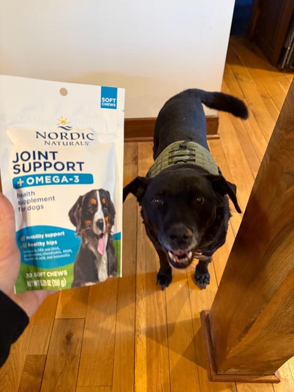 Pet Joint Support Soft Chews | Soft Chews with Omega-3 for Pet