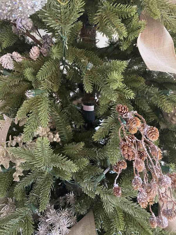 Review Thumbnail Image 1 221365750