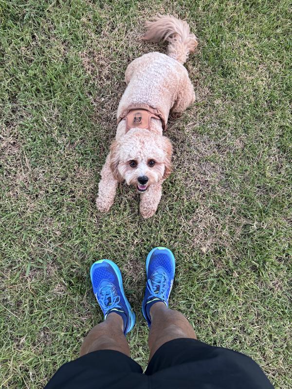 Review Thumbnail Image 1 236474340