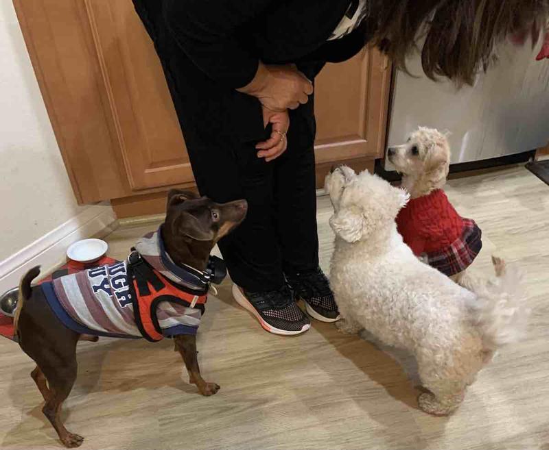 Review Thumbnail Image 0 221876537