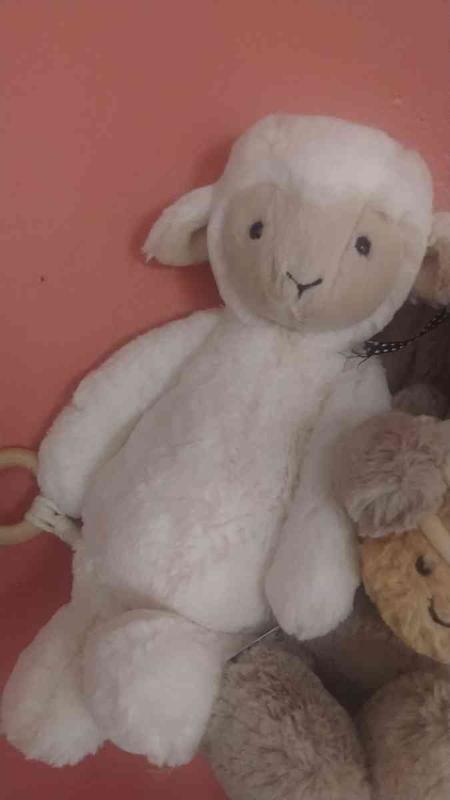 Review Thumbnail Image 0 247754404