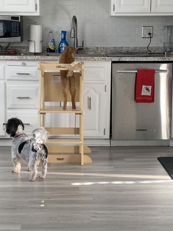 Review Thumbnail Image 4 237611922