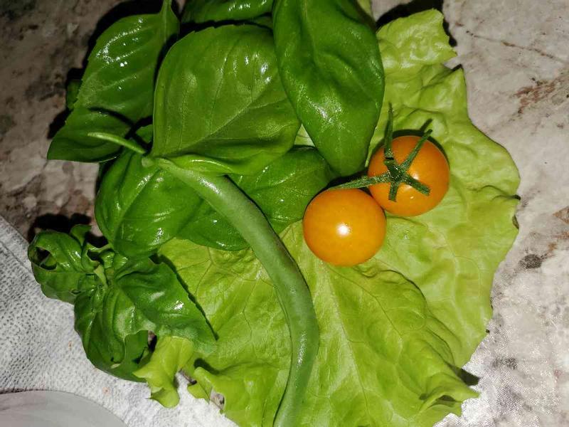 Review Thumbnail Image 0 212285041