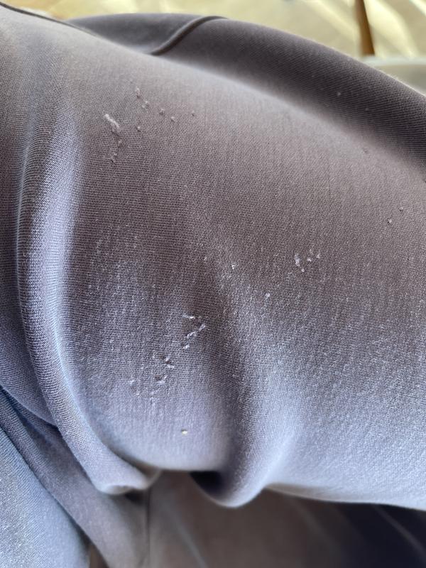 Review Thumbnail Image 0 245167506