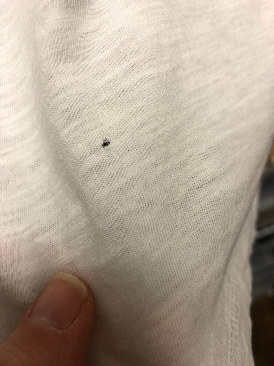 Disappointing Quality