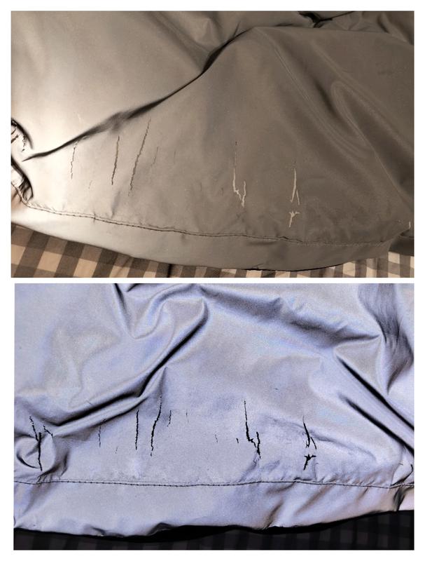 Review Thumbnail Image 0 233000217