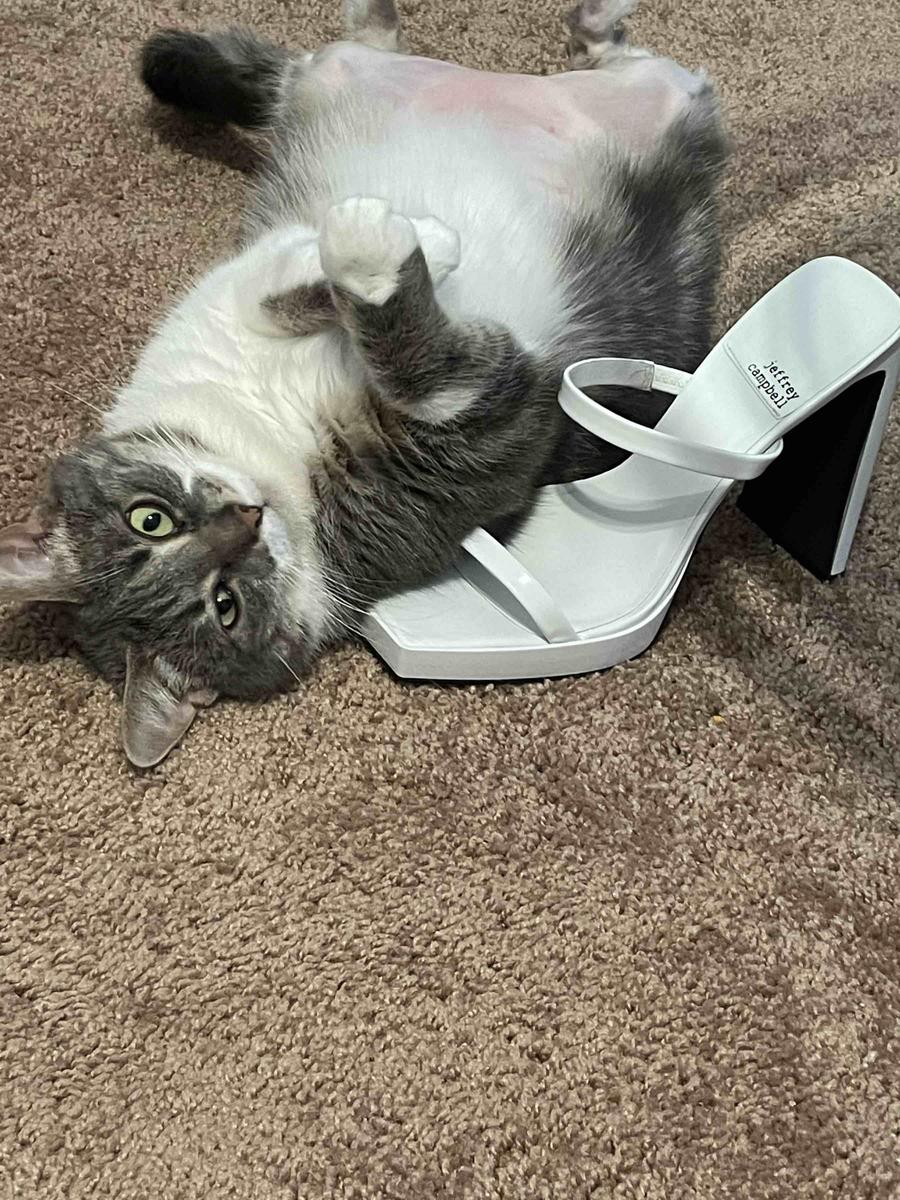 Review Thumbnail Image 1 208155927