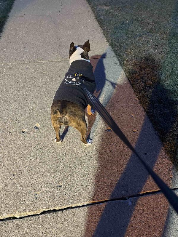 Review Thumbnail Image 1 211785147