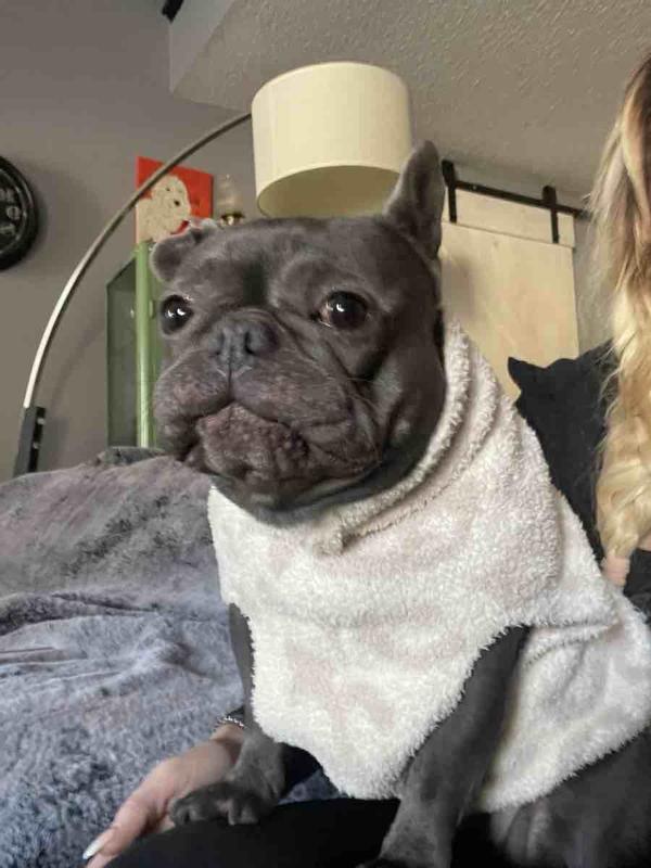 Perfect Winter Sweater