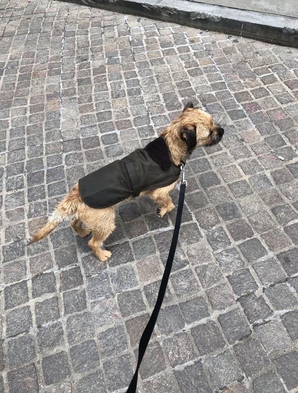 Review Thumbnail Image 2 212214360