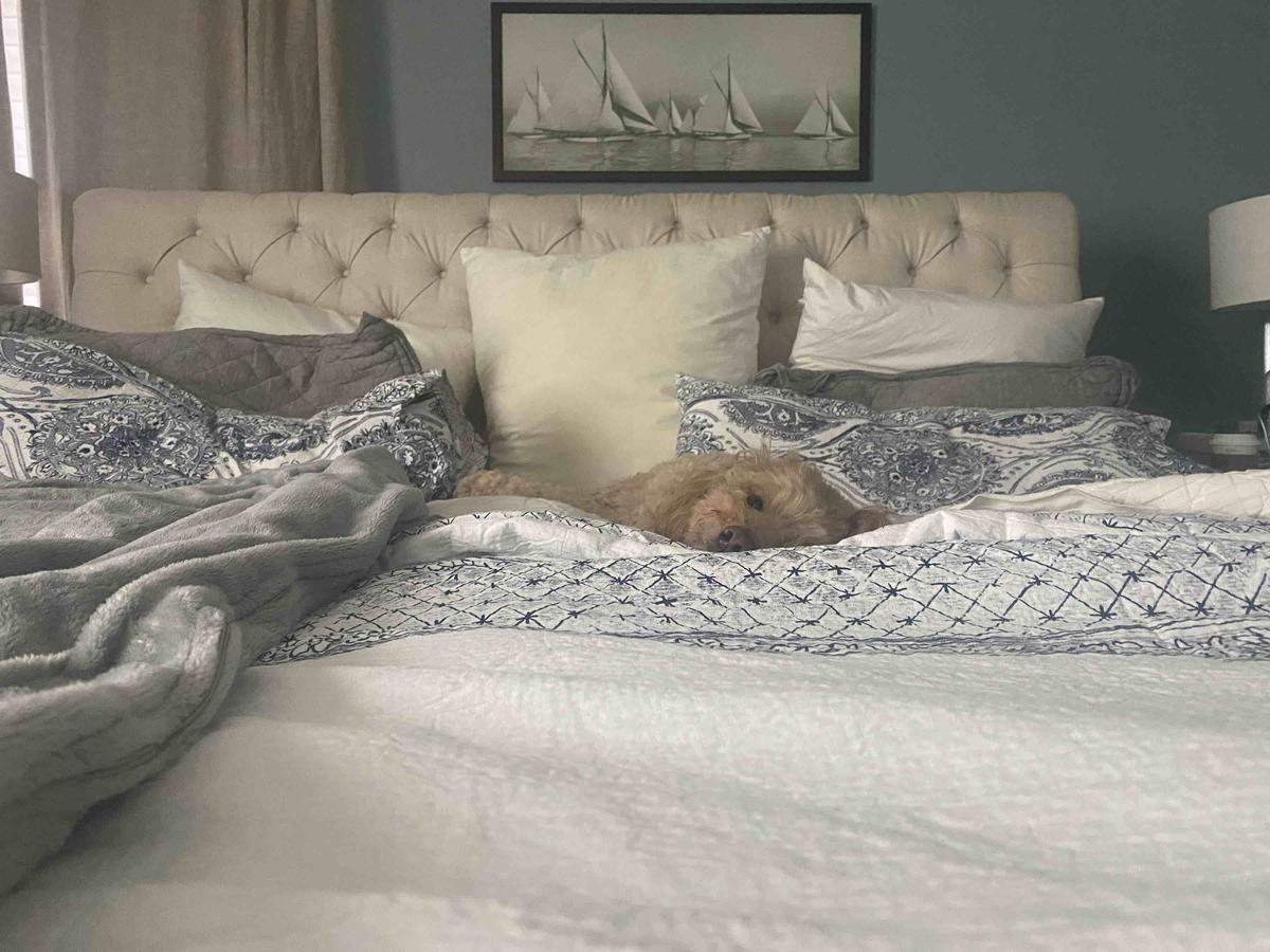 Review Thumbnail Image 0 205406028