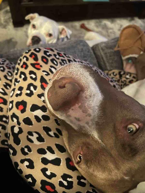 Customer photo for "best pajamas ever"