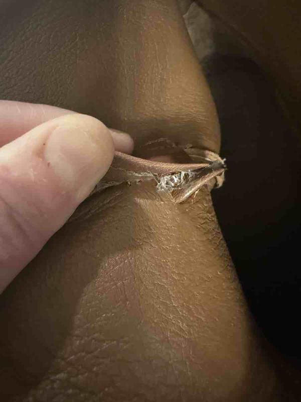 Review Thumbnail Image 3 243707922