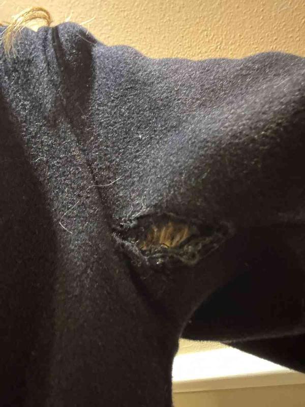 Review Thumbnail Image 1 240463627