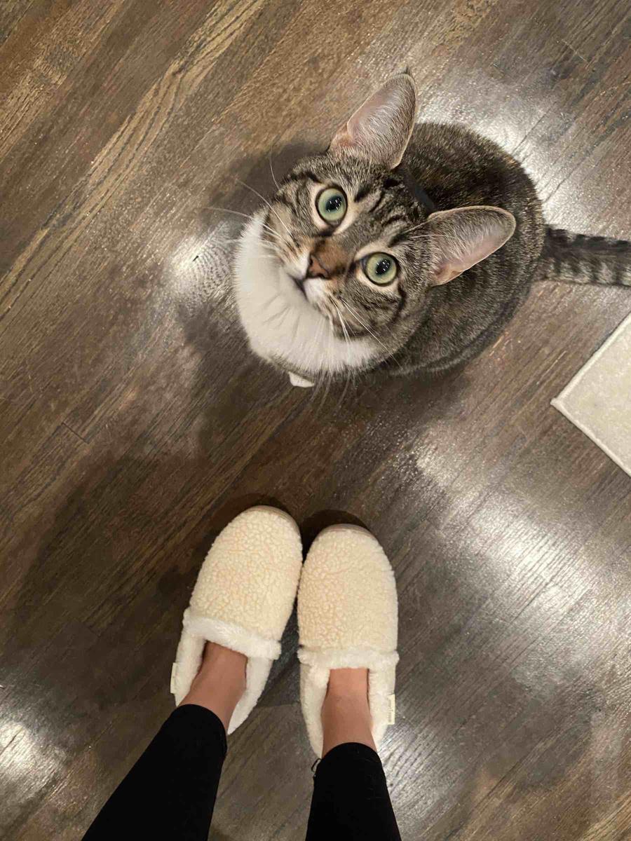 like walking on a cloud