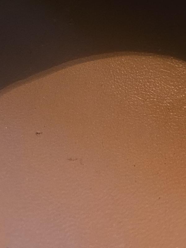 Review Thumbnail Image 2 241489155