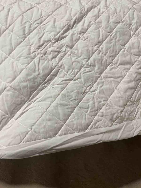 Review Thumbnail Image 1 239932392