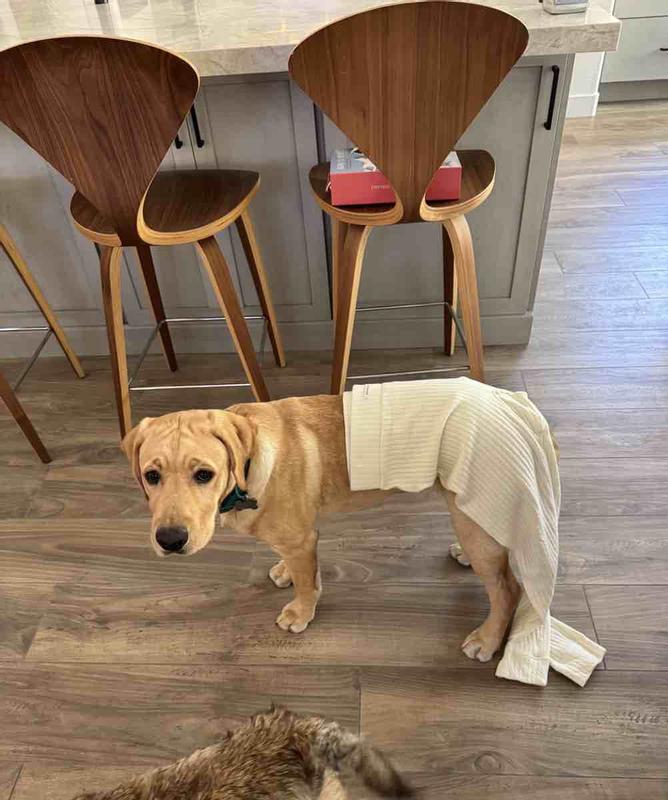 Review Thumbnail Image 3 248073936