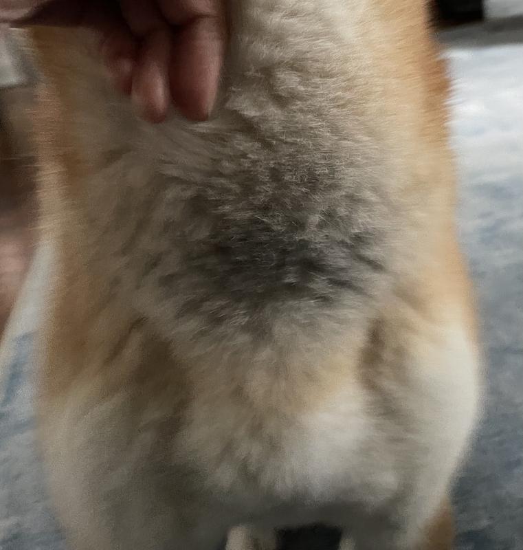 Review Thumbnail Image 1 224869102