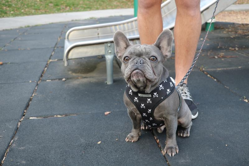 Review Thumbnail Image 0 237696998