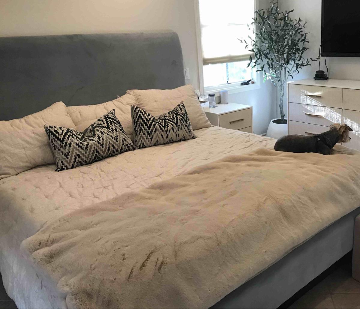 Customer photo for "everyone loves this blanket"