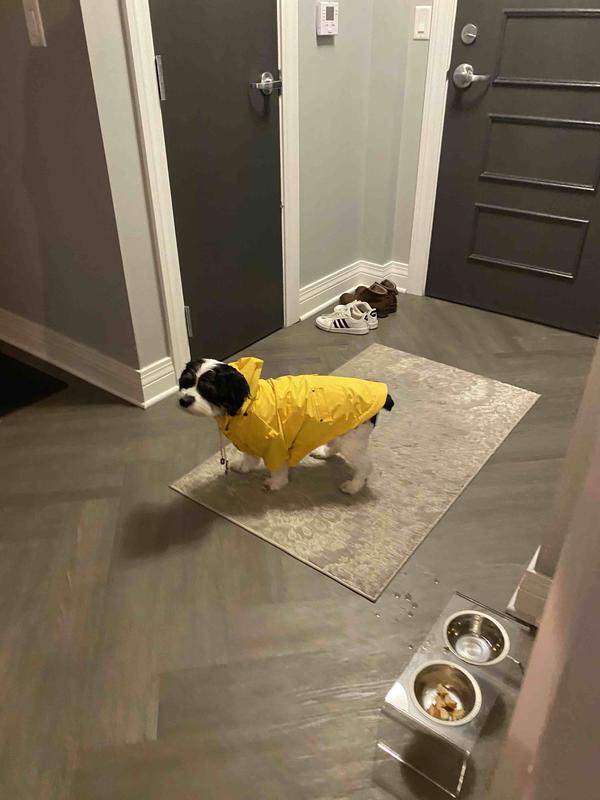 Review Thumbnail Image 1 212032199