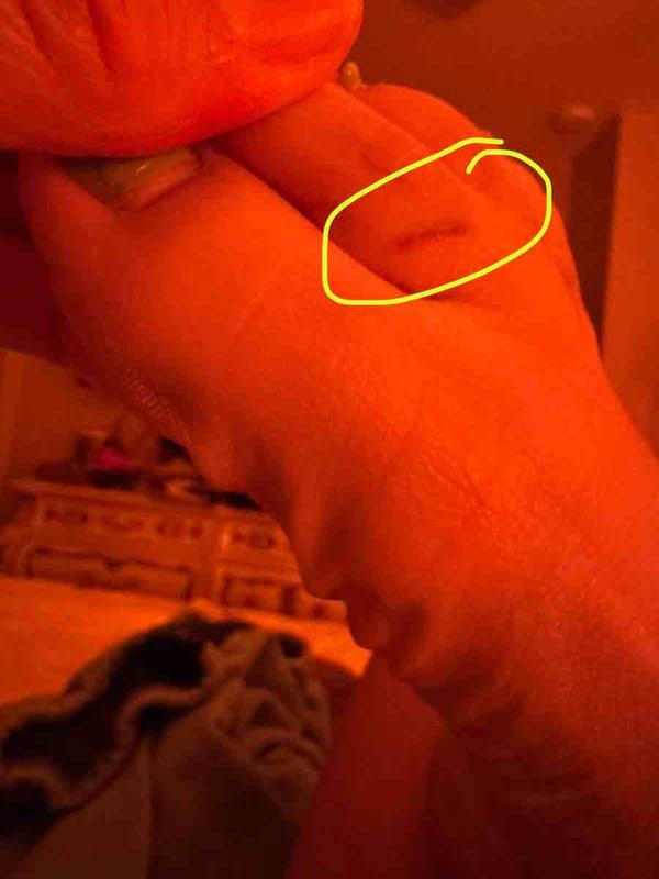 Review Thumbnail Image 0 243234292