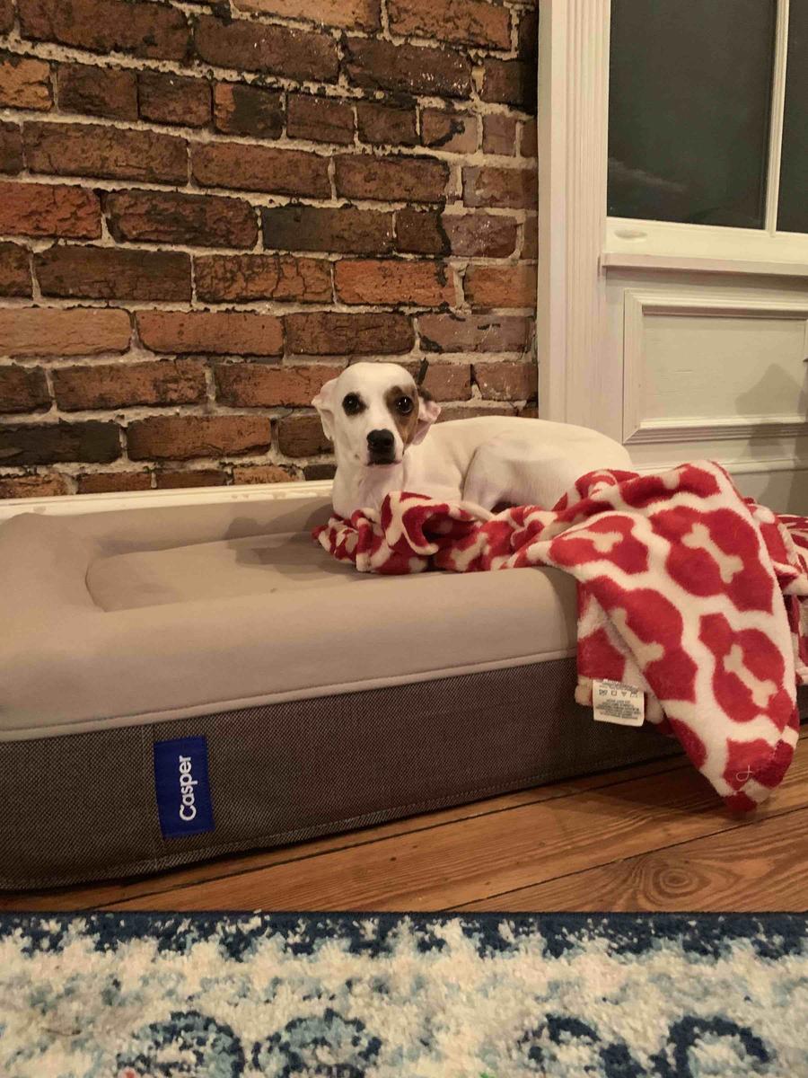 Review Thumbnail Image 0 203815508