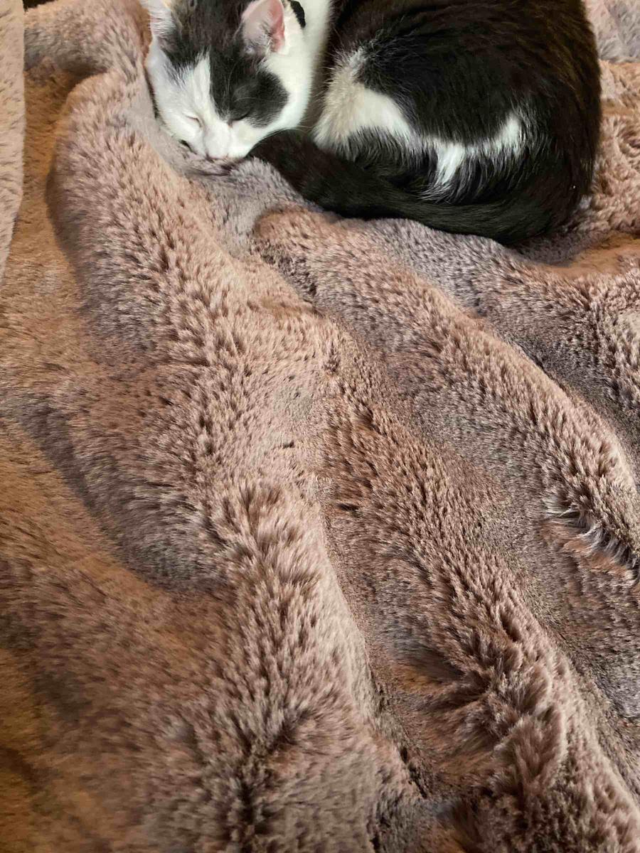 Review Thumbnail Image 2 203848985