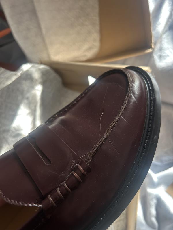 Review Thumbnail Image 0 241823510