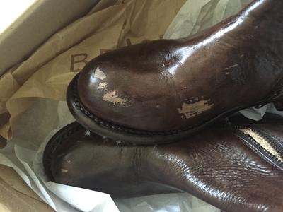 Review Thumbnail Image 0 100183847