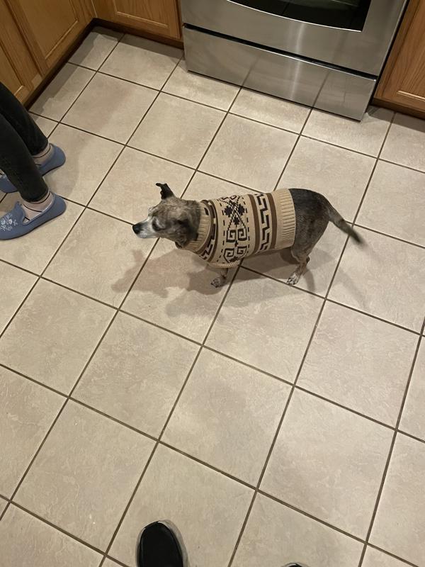 Review Thumbnail Image 1 230738805