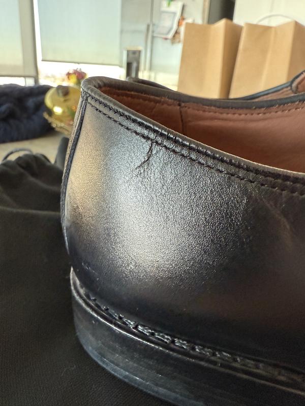 Review Thumbnail Image 1 238163238