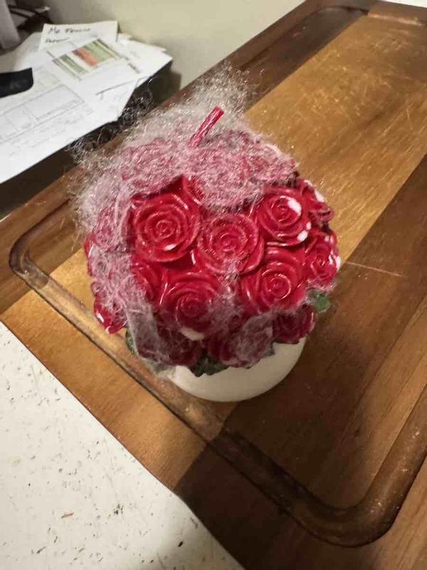 Review Thumbnail Image 2 246625257