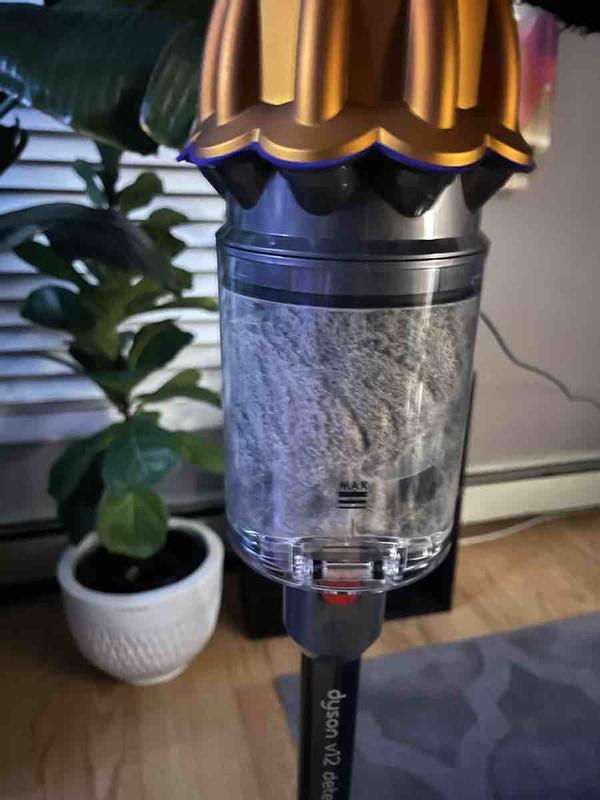 Review Thumbnail Image 1 229998992