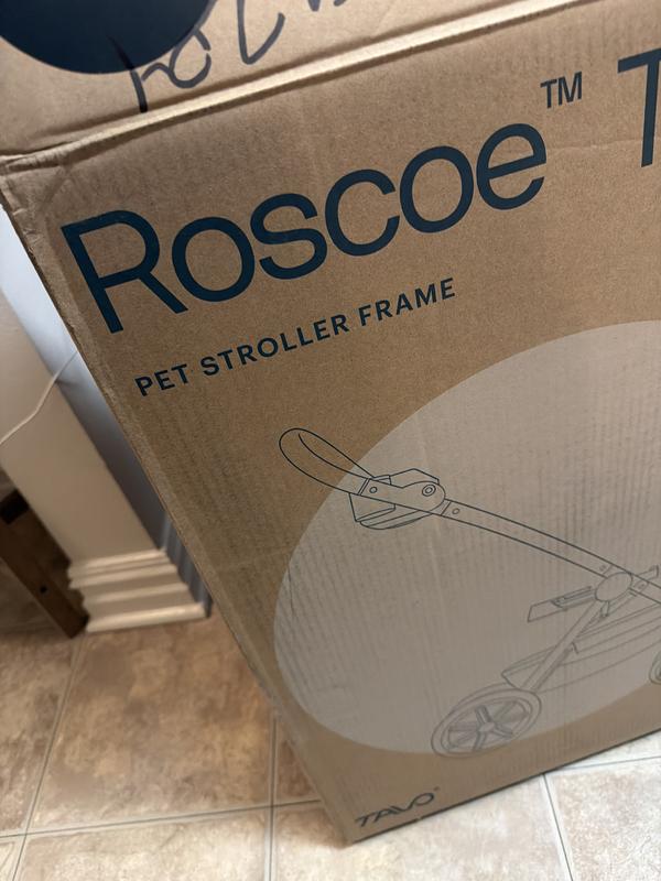 Review Thumbnail Image 0 247035188