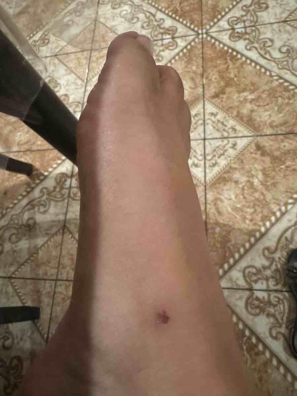 Review Thumbnail Image 0 235713899