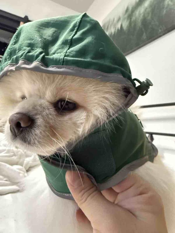 Review Thumbnail Image 1 246789872