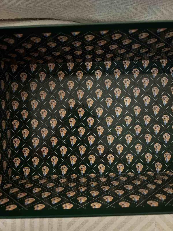 Review Thumbnail Image 1 245249525