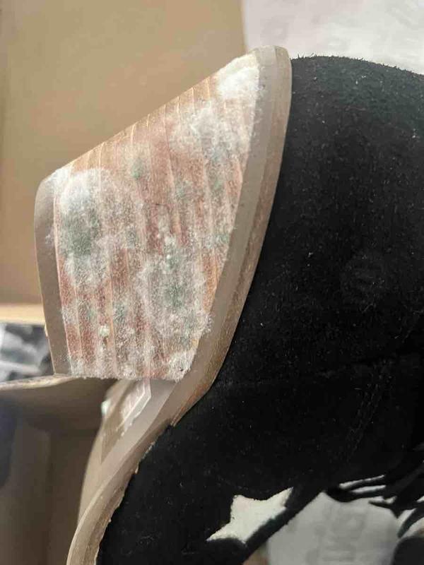 Review Thumbnail Image 2 243033086