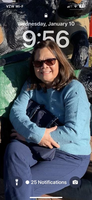 Long champ handbag tote