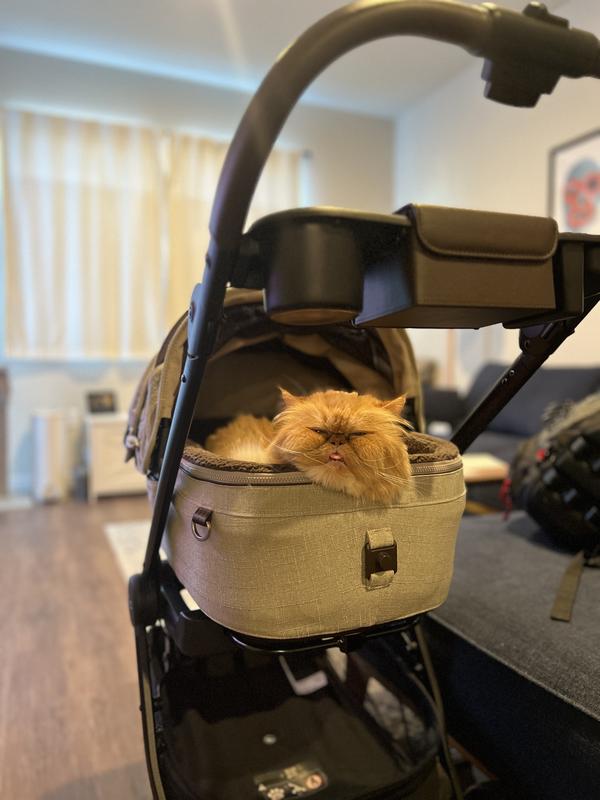 Review Thumbnail Image 1 239346054