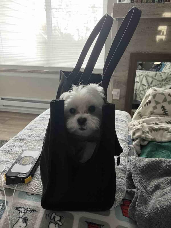 Review Thumbnail Image 2 245638506