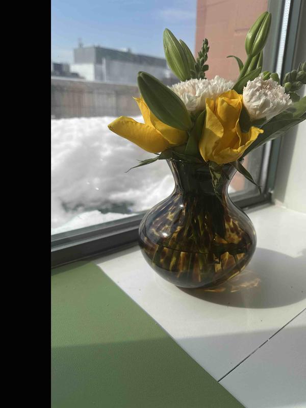 Review Thumbnail Image 0 248411588